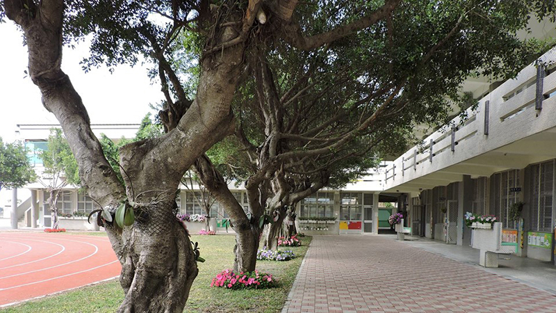 雲林縣土庫鎮後埔國民小學